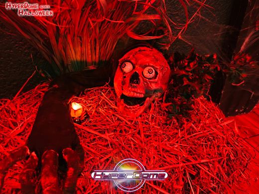 Halloween Rückblick Foto 17